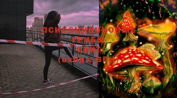 эйфоретик Горняк