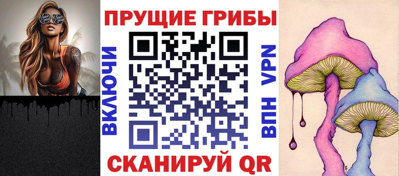 Псилоцибиновые грибы Cubensis  Купить закладки  Губаха 